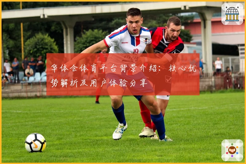 华体会体育平台背景介绍：核心优势解析及用户体验分享